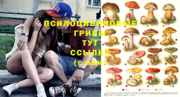 гидра Беломорск