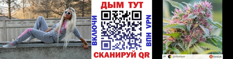 Канабис конопля  Ясный 